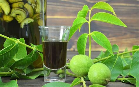 Настойка на зеленых грецких орехах при варикозе - эффективное средство для лечения и профилактики